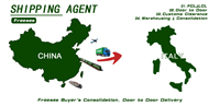 Tarifs d'expédition les plus bas Services de fret maritime Chine vers Italie Agent logistique transitaire