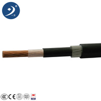 Cable de Alimentación Industrial de Cobre de Bajo Voltaje de un Solo Núcleo