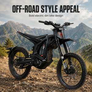 Moto tout-terrain électrique 2026 Arctic Leopard XE L1E-B Homologation EU L1E-B Homologuée pour la route Batterie 74V 60Ah Puissance de pointe 4kW - Product Image 5