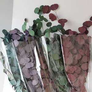 ช่อยูคาลิปตัสแอปเปิ้ลอบแห้ง - ผลิตจากโรงงานสำหรับทำพวงหรีดคริสต์มาส วันวาเลนไทน์ วันรับปริญญา ติดทนนาน 3-5 ปี - Product Image 6