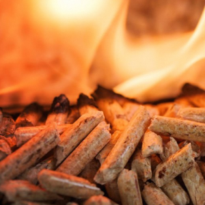 Granulés de bois de caoutchouc de haute qualité, qualité industrielle, granulés de bois de caoutchouc thaïlandais, combustible renouvelable pour les centrales électriques - Product Image 1