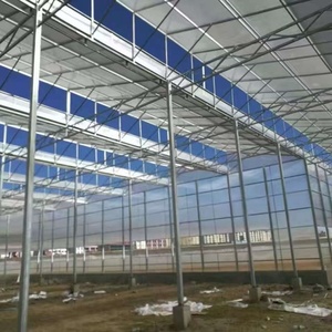 <span class=keywords><strong>Serre</strong></span> en verre pour la culture du chou frisé, conception résistante aux climats frais et riche en nutriments, légumes sains - Product Image 5