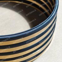 Spring Energized End Face Seal Combination for Engine Gaskets Seals 167.45mm Customized Model China Origin