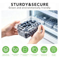 Conteneur alimentaire empilable en gros, boîte en plastique PET jetable pour tomates, cerises, fraises et fruits avec trou