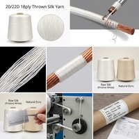 Thrown Silk Yarn 20 22D 18ply Non Twisted Non Intermingled Filament Yarn for Litz Wire Covering