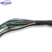 Câble de Faisceau de Câblage Personnalisé Molex Micro-fit Surmoulé E00063 pour Voiture, Conforme IATF16949, Isolation PVC, IP66, BeiXing