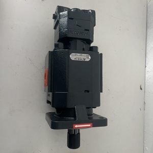 Bomba de Engrenagem 4120007575 Peças SDLG Bomba de Engrenagem para Carregadeira de Rodas <span class=keywords><strong>LG956L</strong></span> Peças de Reposição da Bomba de Engrenagem - Product Image 1