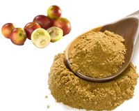 Poudre d'extrait de camu bio Vitamine C 17% 20% Poudre de fruit de camu camu