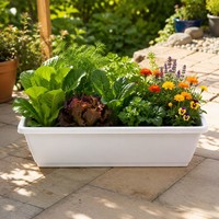 Jardinera Rectangular Blanca con Bandeja de Drenaje, Jardinera de Plástico para Ventana, para Vegetales, Flores, Hierbas, Balcón, Jardín, Parapeto