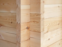 Cabane de jardin en pin massif de 14,85 m²/160 pieds carrés / maison de jardin / bureau de jardin