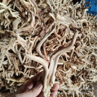 Décoration d'aquarium en bois de rhododendron, bois de corail, racine d'arbre, ornement paysager micro-écosystème en PC