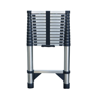 Échelle télescopique 20 pieds, échelle décorative, échelle en aluminium pour tente de toit