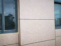 Peinture murale en granit multicolore à texture de pierre de marbre Craxer 717