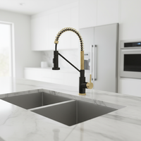 Robinet de cuisine moderne avec douchette extractible en acier inoxydable brossé, robinet de luxe commercial à poignée unique pour évier