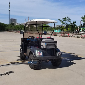 Nouvelle Voiturette de Golf Électrique Tout-Terrain Homologuée Route 2026 – Prix Abordable, 60V, 2 Places - Product Image 5
