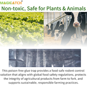 Pièges à colle transparents professionnels pour rats, en vrac, avec 2 options de taille, pour les entreprises de lutte antiparasitaire et l'entretien des bâtiments commerciaux - Product Image 4