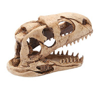T-Rex Crâne Dinosaure Résine Artisanat Cadeaux Décor À La Maison Réplique Fish Tank Statue Tyrannosaure Crâne Squelette Aquarium Décoration