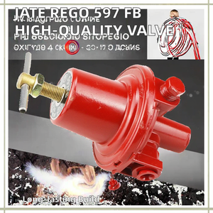 JATE REGO 597 FB Válvula de regulación de presión manual de alta calidad Original OEM Equipo de quemadores de gas Características de alta presión - Product Image 2