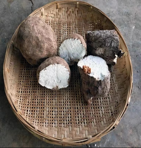 Экстракт дикой пории кокосовой, растительный порошок 10:1, вакуумная упаковка в бочках, лучшая цена, с возможностью индивидуального заказа, прямые поставки с завода - Product Image 5