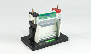 Gelsonlab HS-SCZ2 + मिनी-Protean खड़ी वैद्युतकणसंचलन सेल - Product Image 2