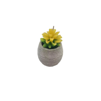 Bougie artisanale moderne personnalisée Scent Sational, cire de soja, pot en verre/céramique, parfum personnalisé écologique, 30 à 60 heures