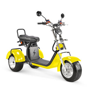 Tricycle <span class=keywords><strong>Électrique</strong></span> à Double Moteur 4000W 2026 pour Femmes - E-tricycle - Product Image 3