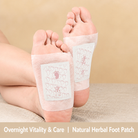 Patchs de Soin des Pieds aux Herbes Traditionnelles de Pékin (OEM/ODM) – 60 Pièces/Boîte – Autocollants Détoxifiants et Relaxants à l'Armoise pour le Corps – Prix de Gros