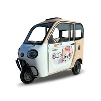 Scooter électrique à 3 roues entièrement fermé pour adultes - Tricycle électrique à faible vitesse 30-50 km/h, autonomie de 90 km, aucun permis de conduire requis
