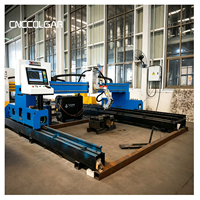 CNCColgar Präzisions-CNC-Portalplasmaschneidemaschine mit Drehkopf CE-Zertifiziert Metallplattenschneider für Stahl