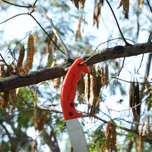 Sierra de podar Qihong de 250 mm con hoja de acero de alto carbono y mango de plástico rojo, sierra manual de jardín. - Product Image 5