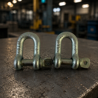 Manilles forgées en acier allié 9.5T 12T 13.5T 17T 25T 35T, type US, avec goupille à vis amovible, métriques et impériales, matériel de levage et de gréage