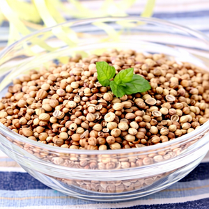 Semillas de Cilantro Indio Secas de Primera Calidad, 100% Naturales de Gujarat para Mercados Internacionales - Product Image 1