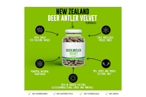 Cápsulas de terciopelo en polvo con cuernos de ciervo, suplemento de salud, precio al por mayor - Product Image 2