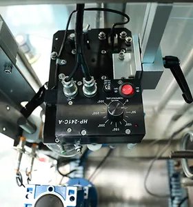 Fabrik Direkt 500g, 1000g, 2000g Volle Automatische Knoblauch Verpackung Maschine