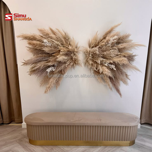 <span class=keywords><strong>Ali</strong></span> d'<span class=keywords><strong>Angelo</strong></span> in Pampas a Prezzo Conveniente, Sfondo con <span class=keywords><strong>Ali</strong></span> di Pampas, <span class=keywords><strong>Ali</strong></span> di <span class=keywords><strong>Piume</strong></span> d'<span class=keywords><strong>Angelo</strong></span> a Prezzo Economico, Vendita all'Ingrosso per Feste - Product Image 4