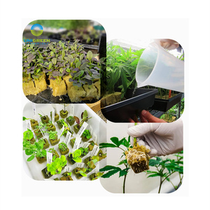 Khối đá khoáng Rockwool 5.9 inch, khối đá Rockwool có lỗ màng 6 inch (15cm), dùng để trồng hạt và cây lớn - Product Image 4