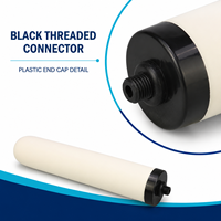 Filtre à eau en céramique en gros avec connecteur mâle noir pour pièces de rechange de purificateur domestique