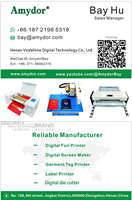 Máquina Automática de Serigrafía de Pantalla a Pantalla Amydor, Trazador de Pantalla Digital Rápido, Impresora de Pantalla Digital AMD550A