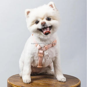 快適なPVCコーティングされたウォーキングハーネス男の子用女の子犬用メンテナンスデザイン悪天候に耐える重い使用プラスチック - Product Image 2