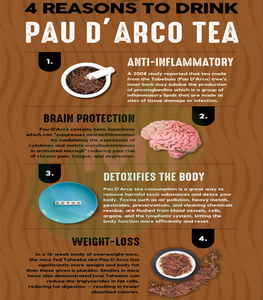 Extracto de Corteza Interna de Pau D'Arco de <span class=keywords><strong>la</strong></span> Mejor Calidad, Tabebuia Avellanedae, Extracto de Pau D'Arco en Polvo - Product Image 4