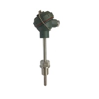 Thermomètres à résistance au platine industriels personnalisables PT100, sonde en acier inoxydable, indice de protection IP65, longueurs de sonde multiples