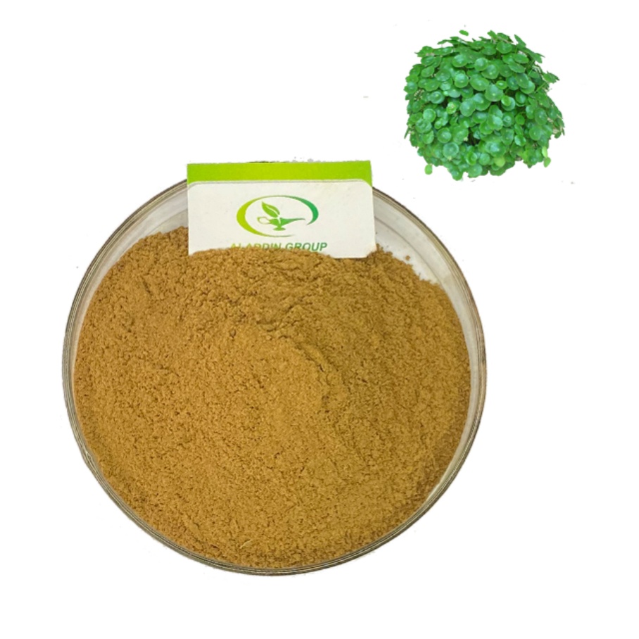 HALAL Top-Qualität Bester Preis Centella Asiatica Extrakt Asiaticosid 10%****^^^^ https://www.siboasi.com