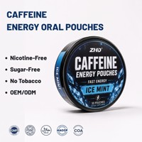 Pochettes énergétiques discrètes à la caféine pour le travail et les voyages |   Extrait de Guarana 200 mg |   Vegan, faible teneur en sucre, pour adultes |   Échantillons sans tabac