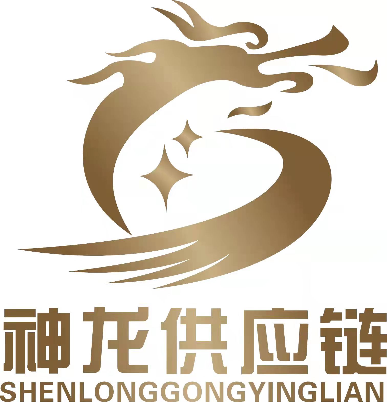 Shaanxi Shenlong Supply Chain Management Co., Ltd. logo