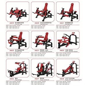 Equipo de Gimnasio Comercial con Carga de Placas - Máquinas de Press de Pecho, <span class=keywords><strong>Remo</strong></span> Bajo y Hip Thrust para Entrenamiento de Fuerza de Brazos, Piernas y Cuerpo Completo - Product Image 6