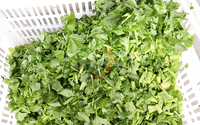 Máquina Cortadora y Lavadora de Vegetales, Cortadora de Hojas Verdes, Limpiadora de Lechuga y Repollo, Equipo de Limpieza y Picado