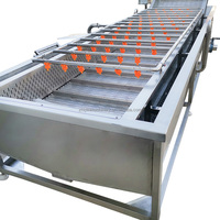 Automatische Industriële Groente Mango Bubbel Wassen Datum Bosbessen Aardbei Fruit Wassen Verwerkingslijn