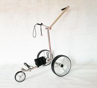 Chariot de golf électrique pliable léger, chariot à assistance électrique pour hommes sur terrain extérieur