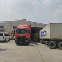 Schneller und Stabiler Seefracht-Versand China Tür-zu-Tür Logistikservice Spediteur Versandagent in die USA, UK, Kanada