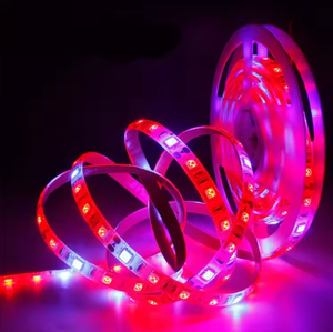 Ensemble de machine à fabriquer des bandes lumineuses étanches pour l'extérieur Kit de bandes lumineuses néon rvb silicone 5054 24v 220v LED pour voiture - Product Image 3